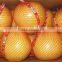 Hot sale fresh Pomelo with good quality foy sale