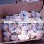 supply fresh vegetables ,high quality fresh potatoes for sale