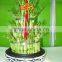 5 layered tower lucky bamboo air bonsai tree dracaena sanderiana indoor ornamental aquatic water plants