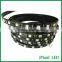 DMX led strip with 5050 LED chip,addressable rgb led strip,waterproof black strip light