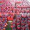 2-PC NPT Oilfield RP FP Ball Valves DI WCB 2000WOG 3000WOG 5000WOG