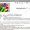plastic Cable Tie (CE,ROHS,PAHS,REACH, SGS, ISO9001)
