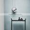 Modern pendant lamp lighting lamps droplight