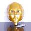 AYJ-F17(CE) Home use PDT led facial mask