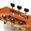 36 inch OEM High end Solid Spruce classic guitar from Chinese guitar factory (TR-CG54S-36)