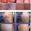 Taibo Beauty Color Touched Screen Vascular Removal /High Frequency Spider Vein Removal Machine