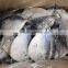 Frozen Whole Round Moon Fish, Frozen Fishes, Best Quality Frozen Fishes