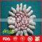 China Red Skin Peanut Kernel 80/100