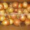 New Red Onion Yellow Onion Wholesale Price