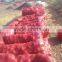 Fresh yellow onion exporters in Egypt