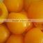 sweet yellow peach and canned fruits for selling
