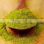 green tea extract