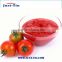 Canned Tomato Paste with good concentration made of 100% fresh tomato