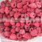 New Crop Frozen Raspberry