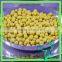 Black /Yellow Soybeans Crop Purity 97%