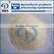 Food grade vital wheat gluten free flour drier processing plant