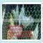 Chicken mesh / Plastic wire mesh / farm breeding plastic flat net