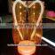 price of paper cups machine/wholesale coffee cups/starbucks coffee cups