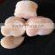 Frozen Sea Scallop in Good Quality no Chemical Treated
