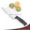8.3"stainless Steel Santoku Knives,kitchen Knives With Plastic Handle