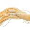 famous ginseng slimming tea 2g *20 bags /box green tea with ginseng slimming tea bags OEM to USA England canada Australia