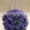 plant boxwood ball flower ball Artificial hanging Boxwood Ball