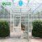 Complete Galvanized Steel Truss Greenhouse sale for tomatoes