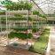 Commercial Hydroponics Systems With Food-grade PVC Gully