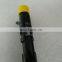 Original Common Rail Injector EJBR04901D