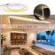 Relight Waterproof  cuttable 12/24V 90 CRI 5W COB LED Flexible Strip Light