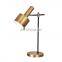 Ins Style Simple Modern Nordic Luxury Study Reading Decorative Metal LED Table Lamp
