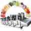 LONKIA Vegetable Production Line Fruit Salad washing Equipment