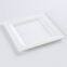 Disposable Biodegradable 10INCH square plate Take away Sugarcane