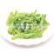 Sinocharm BRC A Approved W5-7MM IQF Sliced Green Pepper Strips Frozen Bell Peppers