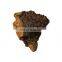 100% pure organic chaga mushroom extract powder