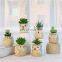 Home Decor Artificial Plant Faux Artificial Plastic Gree Mini Succulent Plants With Owl Animal Pot