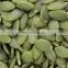 Low moq cheap price pumpkin seed for Thailand