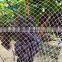 White diamond bird protection netting agricultural garden vineyard plastic anti bird mesh net