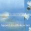 Clear Beehive Patterned Glass/ Toughened Glass /Insulated Glass