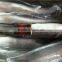 Frozen Grey Mullet Whole Round 600-1000g