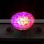 Promotion Price 15w Led Spot RGB Par Light