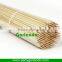 Rotating BBQ bamboo skewer with green skin in bags