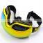 BJ-MG-018A Special Design 3 Layer Foam Transparent Snow Ski Glasses