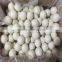 Magnetic Laundry Ball and wool dryer balls new zealand