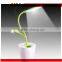 Pen container high photosynthetic efficiency desk lamp