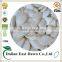 Pumpkin Seeds Wholesale Snow White Pumpkin Seeds