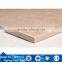 Manufacturing China Best Selling Floor Tile