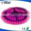 high CRI indoor outdoor 12 volt led light bar for decoration led color changing lights