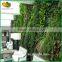 New Design Fake Vertical Plants Wall Artificial Green Wall for Indoor