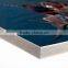 Sunproof Waterproof KT Board